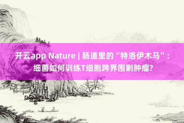 开云app Nature | 肠道里的“特洛伊木马”: 细菌如何训练T细胞跨界围剿肿瘤?