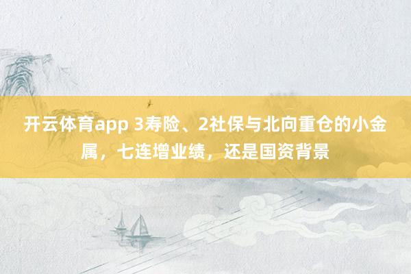 开云体育app 3寿险、2社保与北向重仓的小金属，七连增业绩，还是国资背景