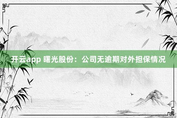 开云app 曙光股份：公司无逾期对外担保情况